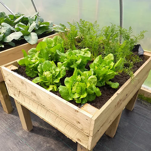 Morris-Raised Planters